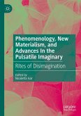 Phenomenology, New Materialism, and Advances In the Pulsatile Imaginary (eBook, PDF)