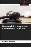 Human rights protection mechanisms in Africa