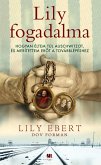 Lily fogadalma (eBook, ePUB)