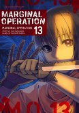Marginal Operation Volume 13 (eBook, ePUB)