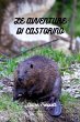Le avventure di Castorino (eBook, ePUB) - Bild 1