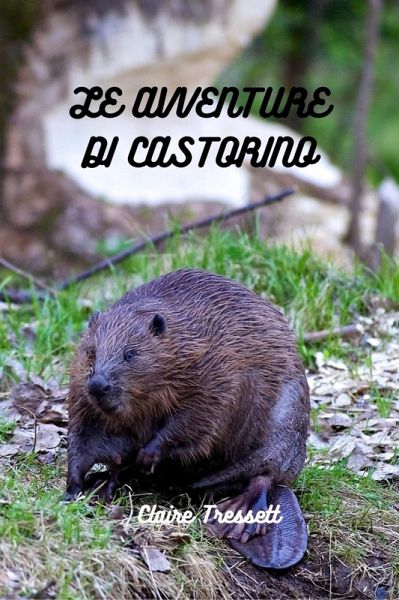Le avventure di Castorino (eBook, ePUB)
