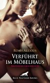 Verführt im Möbelhaus   Erotische Geschichte (eBook, ePUB)