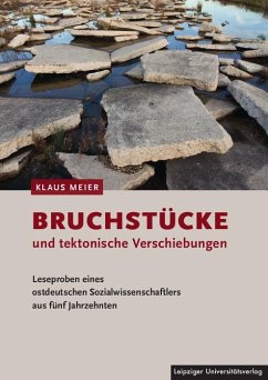 Bruchstücke und tektonische Verschiebungen - Meier, Klaus