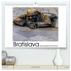 Bratislava die slowakische Schönheit (hochwertiger Premium Wandkalender 2025 DIN A2 quer), Kunstdruck in Hochglanz