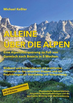 Alleine über die Alpen - Keßler, Michael