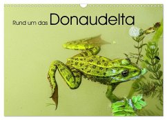 Rund um das Donaudelta (Wandkalender 2025 DIN A3 quer), CALVENDO Monatskalender