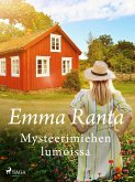 Mysteerimiehen lumoissa (eBook, ePUB)