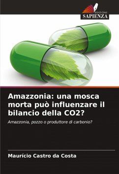 Cover Amazzonia: una mosca morta può influenzare il bilancio della CO2?
