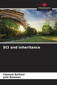 SCI and inheritance - Baillard, Clément;Bonneau, Julie