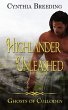 Highlander Unleashed - Bild 1