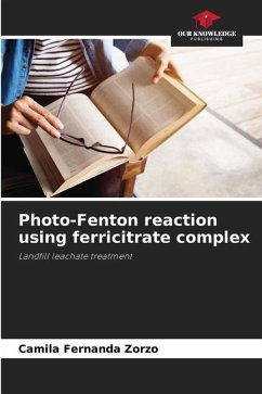 Photo-Fenton reaction using ferricitrate complex - Zorzo, Camila Fernanda