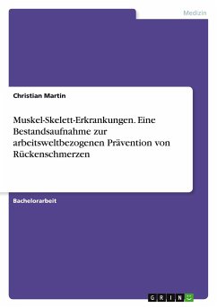 Muskel-Skelett-Erkrankungen. Eine Bestandsaufnahme zur arbeitsweltbezogenen Prävention von Rückenschmerzen - Martin, Christian