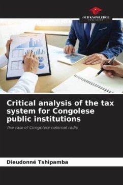 Critical analysis of the tax system for Congolese public institutions - Tshipamba, Dieudonné