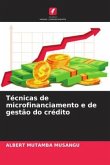 Técnicas de microfinanciamento e de gestão do crédito