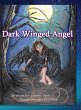 Dark Winged Angel - Bild 1
