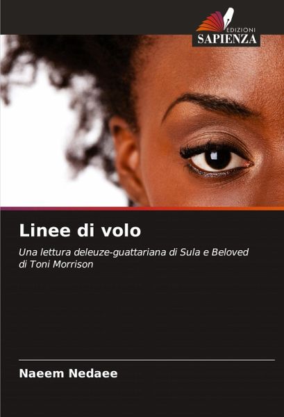 Linee di volo