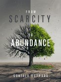 From Scarcity to Abundance (eBook, ePUB)