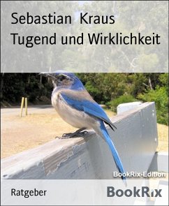 Tugend und Wirklichkeit (eBook, ePUB) - Kraus, Sebastian