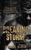 Breaking Storm (eBook, ePUB)