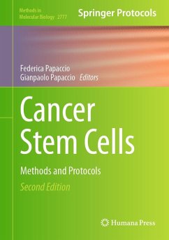 Cancer Stem Cells (eBook, PDF)