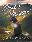 Josie's Passage (eBook, ePUB)
