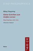Kleine Schriften zum »Großen Lernen« (eBook, PDF)