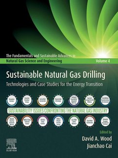 Sustainable Natural Gas Drilling (eBook, ePUB)