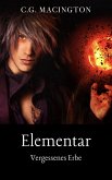 Elementar: Vergessenes Erbe (eBook, ePUB) Elementar: Vergessenes Erbe (eBook, ePUB)