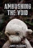 Ambushing the Void (eBook, ePUB)