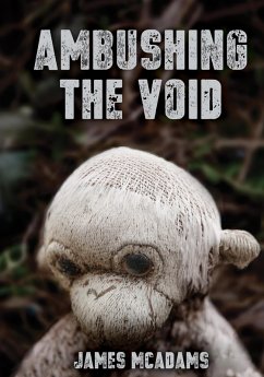 Ambushing the Void (eBook, ePUB) - McAdams, James