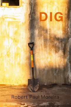Cover Dig (eBook, ePUB)