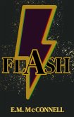 Flash! (eBook, ePUB)