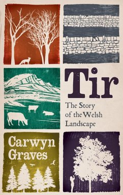 Cover Tir (eBook, ePUB)
