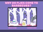 Why Do Flies Come To Barbecues? (eBook, ePUB)