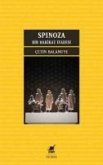 Spinoza - Bir Hakikat Ifadesi