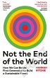 Not the End of the World - Bild 1