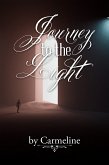 Journey to the Light (eBook, ePUB)