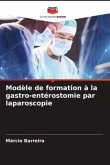 Modèle de formation à la gastro-entérostomie par laparoscopie