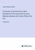 The Secrets of the Great City; A Work Descriptive Of The Virtues And The Vices, Mysteries, Miseries And Crimes Of New York City