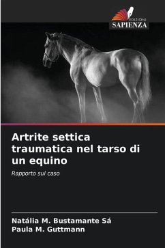 Artrite settica traumatica nel tarso di un equino - M. Bustamante Sá, Natália;M. Guttmann, Paula