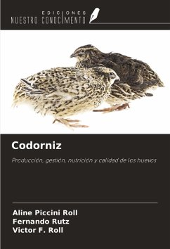 Cover Codorniz