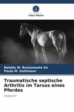 Traumatische septische Arthritis im Tarsus eines Pferdes - M. Bustamante Sá, Natália;M. Guttmann, Paula