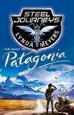 Steel Journeys: The Road to Patagonia (eBook, ePUB)