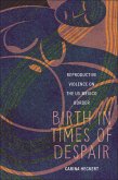 Birth in Times of Despair (eBook, ePUB)