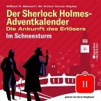 Im Schneesturm (Der Sherlock Holmes-Adventkalender: Die Ankunft des Erlösers, Folge 11) (MP3-Download)