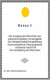 Essay 3 (eBook, ePUB)