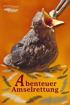 Cover Abenteuer Amselrettung (eBook, ePUB)