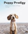 Puppy Prodigy (Mastering the Basics of... - Bild 1