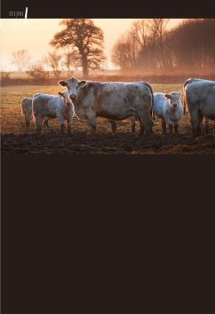 Cover Potencial de Livestock Takaful en Pakistán: Un estudio empírico